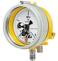 ДМ2005ф Сг1Ехd КС 6 МПа кл.1,5 исп V УТ000017204