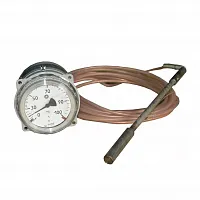 ТГП-100Эк-М (0...+100)°С-2,5-6-250-Б 12Х18Н10Т УТ-00000084