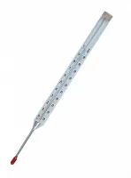 ТТЖ-П4 160/163 (0...+100)°С Коротыш УТ000019359