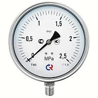 ТМ-621Р.00(0-0,25)MPa.G1/2".1,0  СИЛИКОН УТ000010822